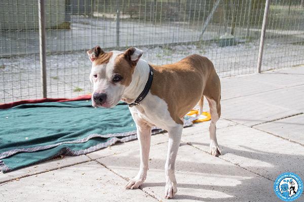 Molly, una casa per gli anni più preziosi Foto 7